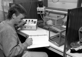 Psychology student conducts a rat experiment, St. Cloud State University