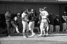 Players gather in the dugout during a St. Cloud State University baseball game against Augsburg College