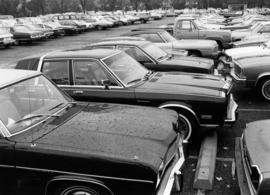 Cars parked in a campus parking lot, St. Cloud State University