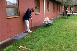 St. Cloud State students do yard work, Aalborg, Denmark