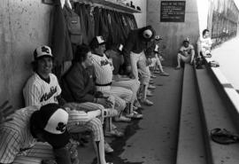 Players relax in the dugout during a St. Cloud State University baseball game against Northern State University