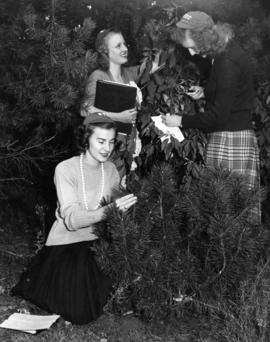 Women wearing beanies study trees, St. Cloud State University