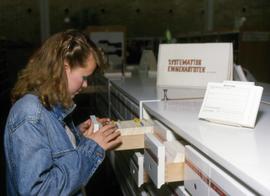 Student checks at card catalog, Aalborg, Denmark, St. Cloud State University