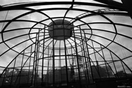 Mathematics and Science Center (1973) greenhouse interior, St. Cloud State University