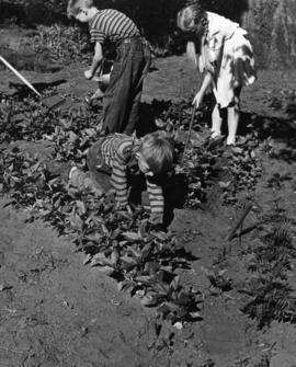 Children at Riverview (1913) work in the garden, St. Cloud State University