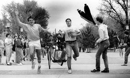 Theta Chi members pull a chariot during Greek Week