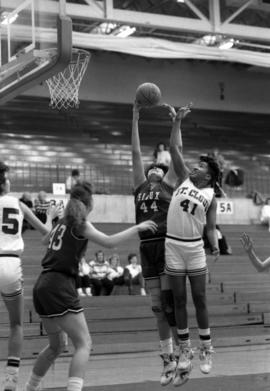 Toni Jameson tries to block a shot against the University of North Dakota, St. Cloud State University