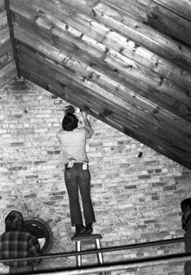 David Mork looks for bats in the attic of Riverview (1913), St. Cloud State University