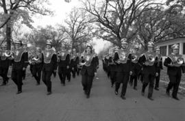 Marching band at the homecoming parade, St. Cloud State University