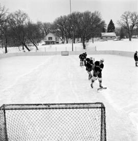 St. Cloud State University hockey players clear the ice during a hockey game with Lakehead University