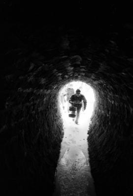 Harry Goehring investigates a sewer for hibernating bats, St. Cloud State University