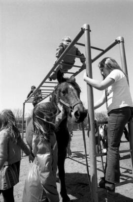 Campus Laboratory students interact with a horse, St. Cloud State University