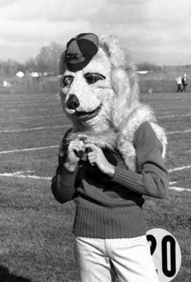 Husky mascot at a homecoming football game, St. Cloud State University