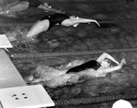 Swimmers race in a pool, St. Cloud State University