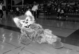 St. Cloud State Husky mascot