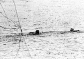 Two men swim across the Mississippi River, St. Cloud State University